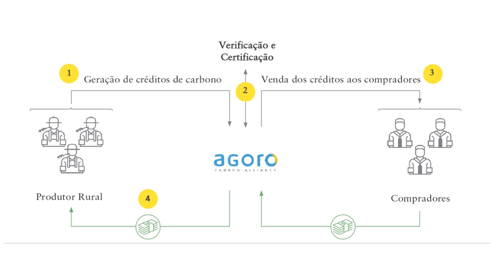 The diagram of the process